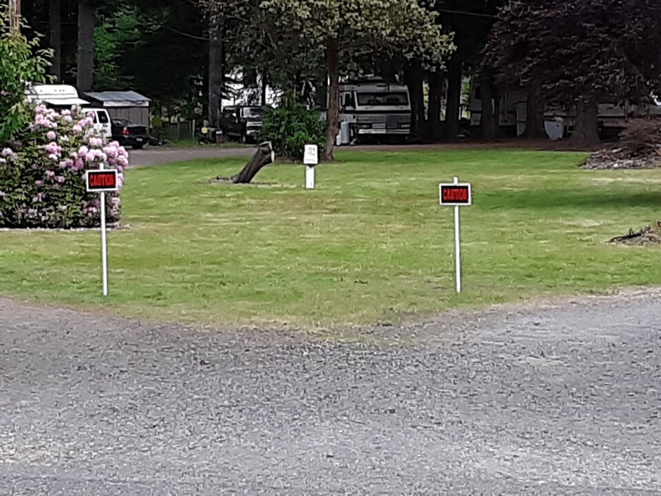 626 Silverbrook Rd in Randle, WA - Foto de edificio