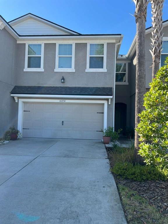 14234 Damselfly Dr in Citrus Park, FL - Foto de edificio - Building Photo