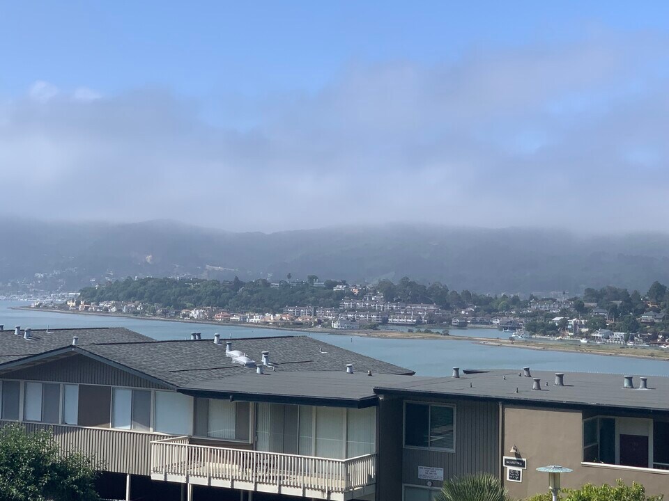 9 Janet Way, Unit 9 Janet way #12 in Tiburon, CA - Building Photo