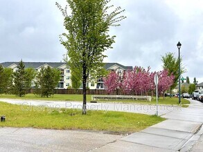 9147-9213 213 St NW in Edmonton, AB - Building Photo - Building Photo