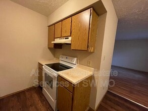 1306 E McDaniel St in Springfield, MO - Building Photo - Building Photo