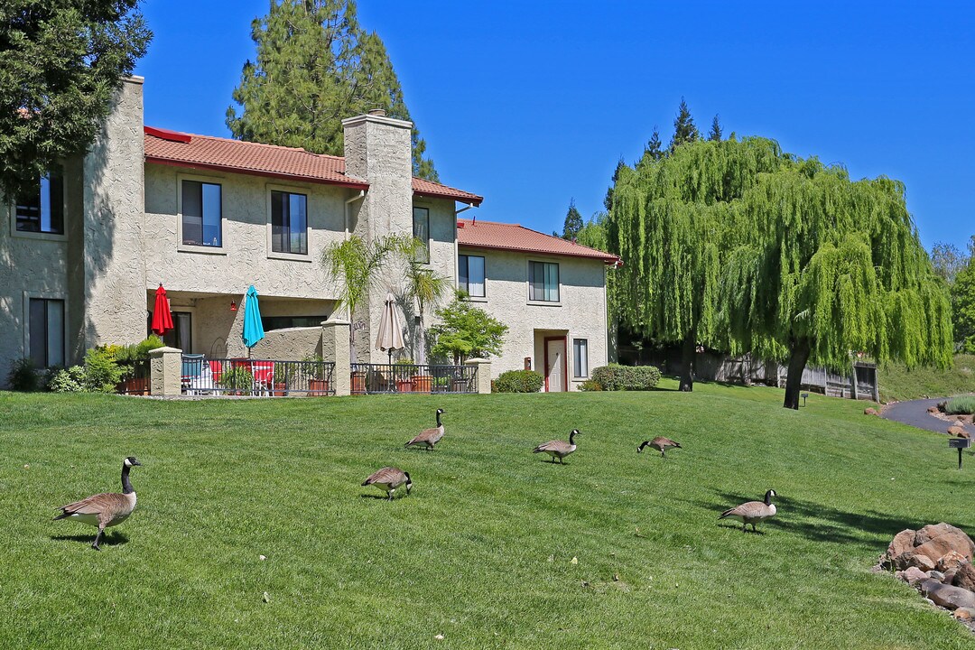 Lakeview Apartments in Chico, CA - Foto de edificio