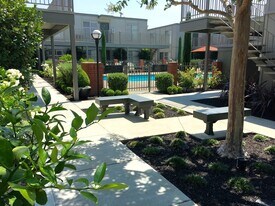 Olive Tree Apartments in Napa, CA - Building Photo