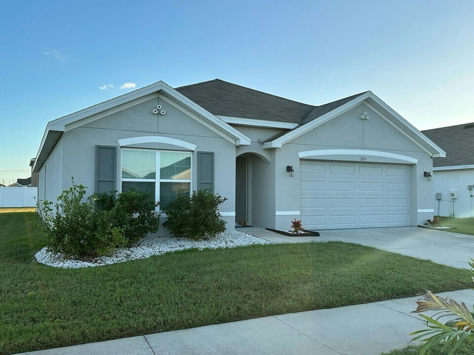 1115 Swaying Sawgrass Ave in Ruskin, FL - Building Photo