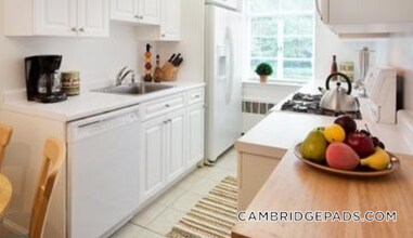 18 Chauncy St, Unit 8 in Cambridge, MA - Foto de edificio - Building Photo