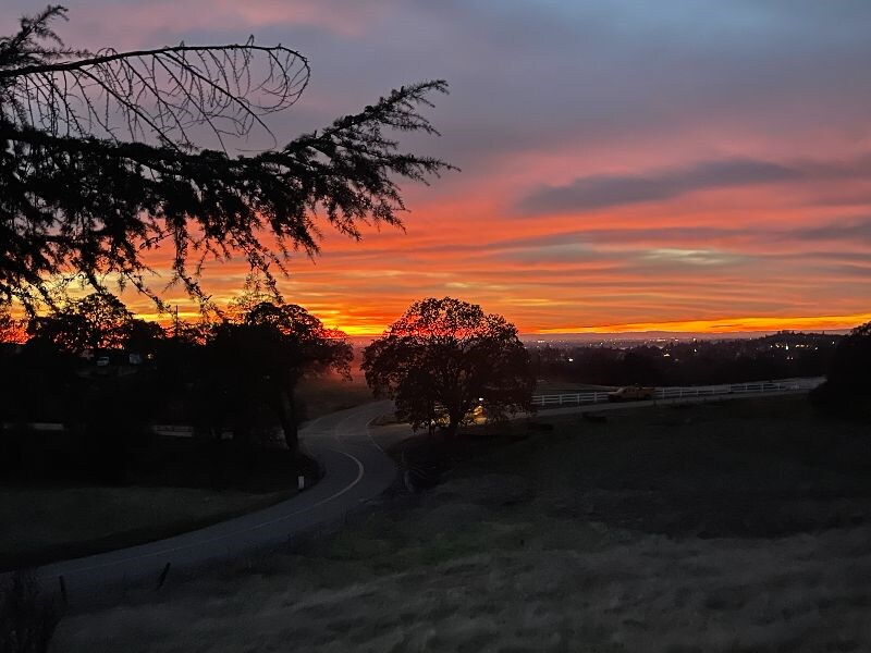 1496 Malcolm Dixon Rd, Unit 1 in El Dorado Hills, CA - Building Photo