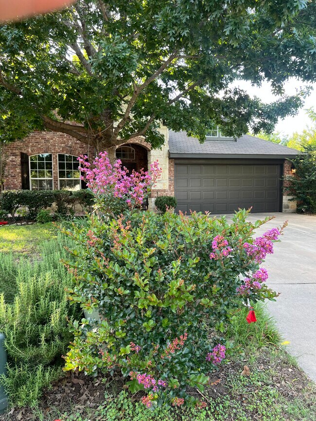 property at 3901 Ringdove Way