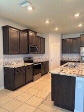 3469 Autumn Amber Dr in Spring Hill, FL - Building Photo - Building Photo