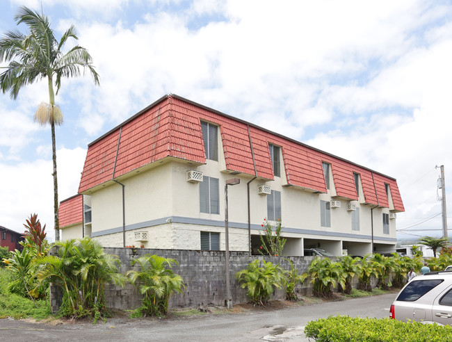 33 Hualalai St in Hilo, HI - Building Photo - Building Photo