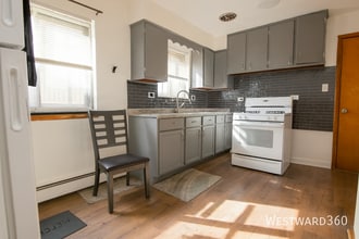 8745 S Cottage Grove Ave in Chicago, IL - Building Photo - Building Photo