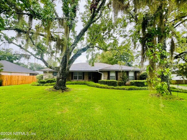 1800 Castille Dr in Orange Park, FL - Foto de edificio - Building Photo