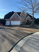 455 Hunters Mill Cove in Collierville, TN - Building Photo