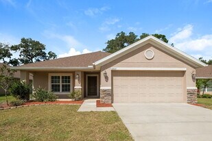 13207 Precept Way in Hudson, FL - Building Photo