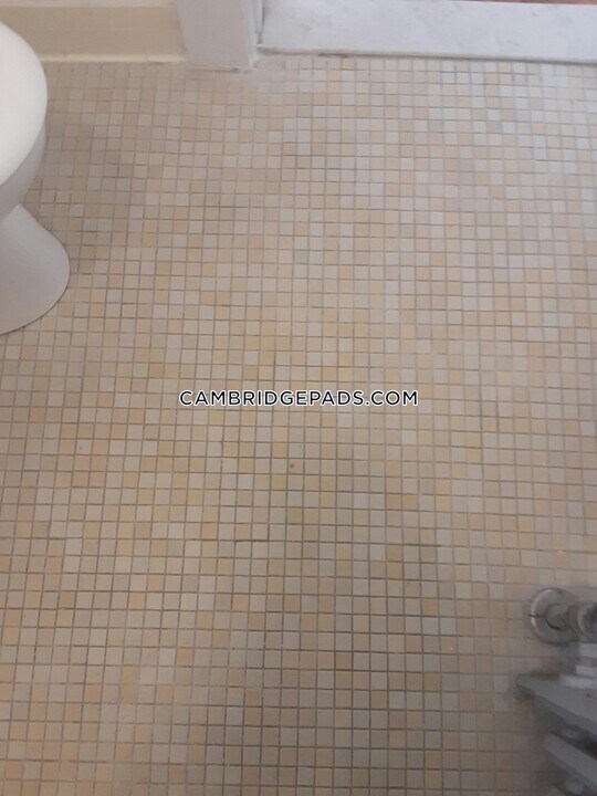 381 Harvard St-Unit -21 in Cambridge, MA - Building Photo