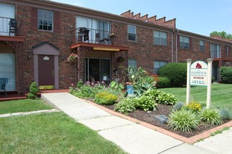 The Paddock Apartments in Lexington, KY - Building Photo - Building Photo