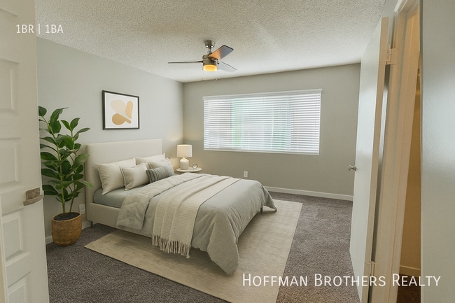 291 Avocado St in Costa Mesa, CA - Building Photo - Building Photo