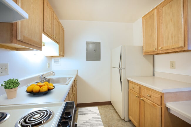 Park Place Towers - Income Restricted 62+ in Mount Clemens, MI - Building Photo - Building Photo