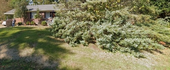 65 Beechwood Dr in Jackson, TN - Building Photo