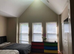 842 W 15th Pl in Chicago, IL - Building Photo - Building Photo