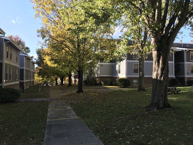 Shawnee Apartments in Blacksburg, VA - Building Photo - Building Photo