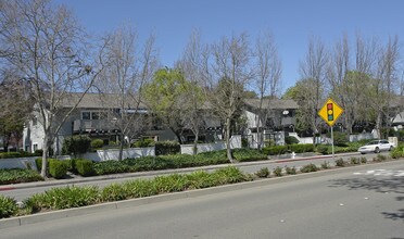 Gardens in San Ramon, CA - Building Photo - Building Photo