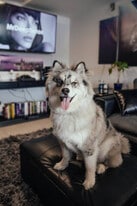 6041 S Keating Ave in Chicago, IL - Building Photo