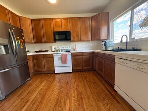 4814 Hawk Meadow Dr in Colorado Springs, CO - Building Photo - Building Photo