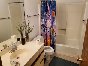 920 9th Ave SE, Unit 920 in Minneapolis, MN - Building Photo - Building Photo