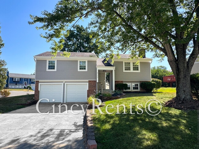 property at 8132 Timberjack Way