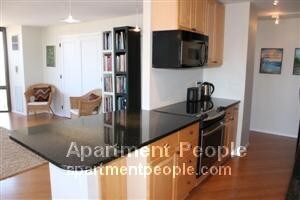 2650 N Lakeview Ave-Unit -3601 in Chicago, IL - Building Photo - Building Photo