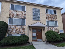 10451 Carol Ct, Unit 2E in Rosemont, IL - Building Photo