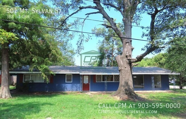 property at 501 Mt Sylvan St