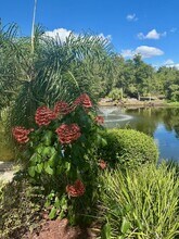 4710 Lighterwood Way in Valrico, FL - Building Photo - Building Photo