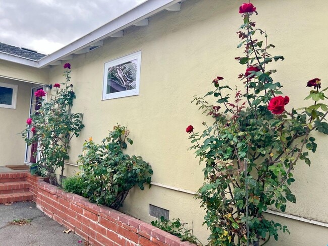 127 22nd Ave in San Mateo, CA - Building Photo - Building Photo