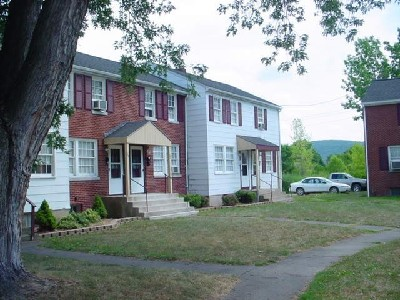 Allan Court Townhomes in Endicott, NY - Building Photo