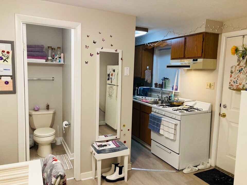 1628 Lowrie Street Rear in Pittsburgh, PA - Building Photo