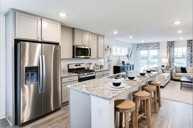 12572 Guadalcanal Cir in Blaine, MN - Building Photo - Building Photo