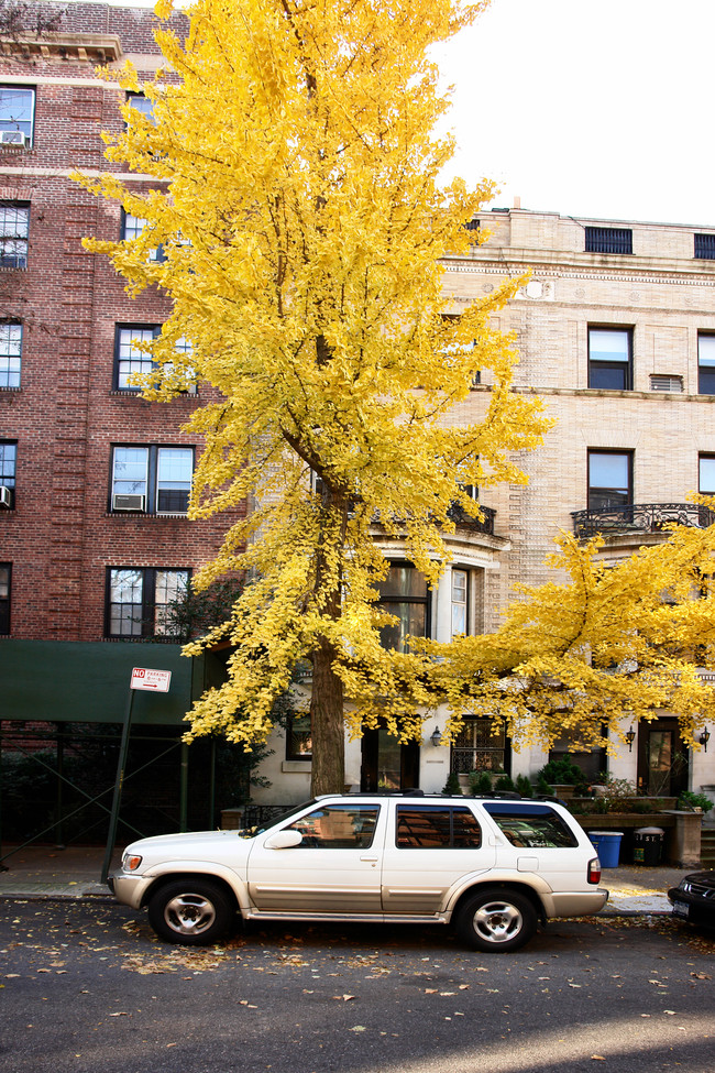 14 Pierrepont St in Brooklyn, NY - Foto de edificio - Building Photo