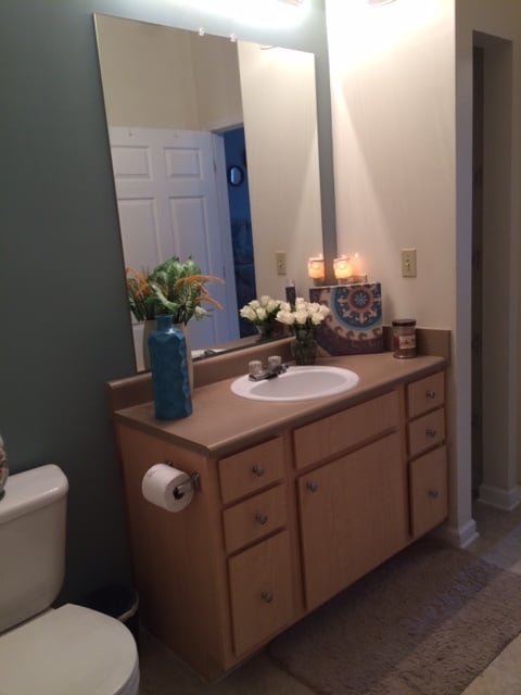 624 Bristol Village Dr, Unit 208 in Midlothian, VA - Building Photo - Building Photo