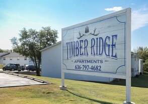 321 Cedarview Ct in Hillsboro, MO - Building Photo