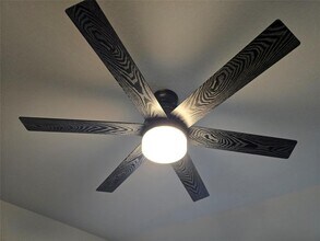 602 Pearly Eye Dr in Pflugerville, TX - Building Photo - Building Photo