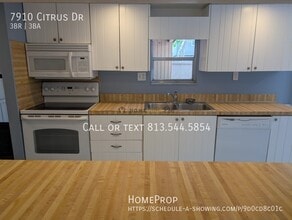 7910 Citrus Dr in Temple Terrace, FL - Building Photo - Building Photo