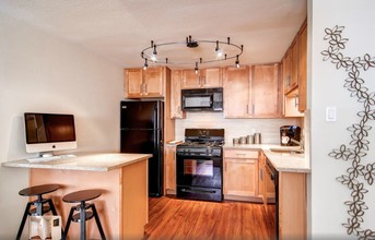 1520 S Albion in Denver, CO - Building Photo - Interior Photo