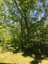 2778 Hidden Dr in St. Francis, WI - Building Photo - Building Photo