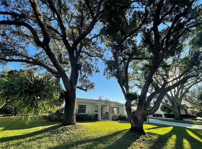 273 Catalan Blvd NE in St. Petersburg, FL - Building Photo - Building Photo