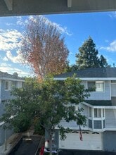 8115 Surfline Dr in Huntington Beach, CA - Building Photo - Building Photo