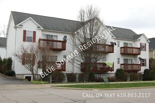 459 Spicer Street in Akron, OH - Building Photo