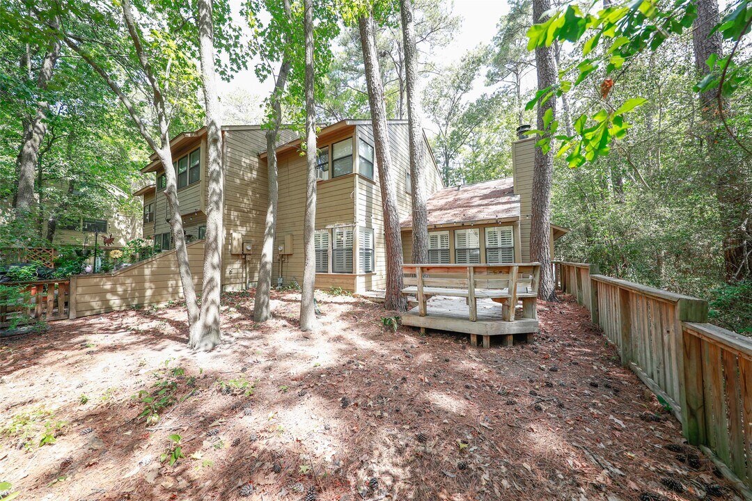 70 Cokeberry Ct in Spring, TX - Building Photo