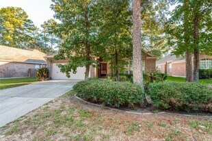 127 S Winterport Cir in Spring, TX - Building Photo