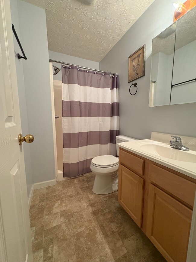 816 W Gold Dust Dr in Sevierville, TN - Building Photo - Building Photo
